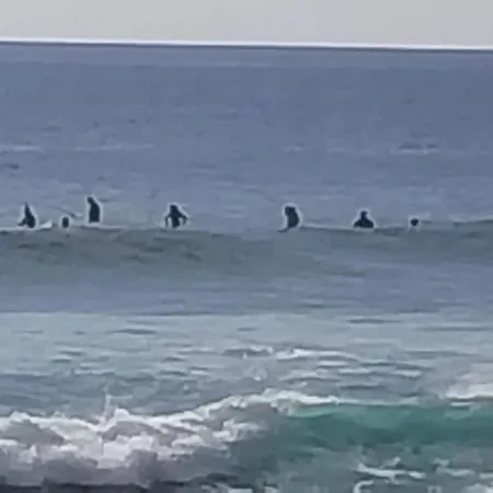 Apartment Big Ocean Terrace - Walk To Vistas & Golden Mile *